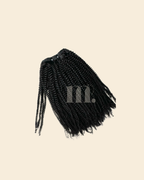 Iconic Curls - Coily Curly (Texture 4a à 4c)